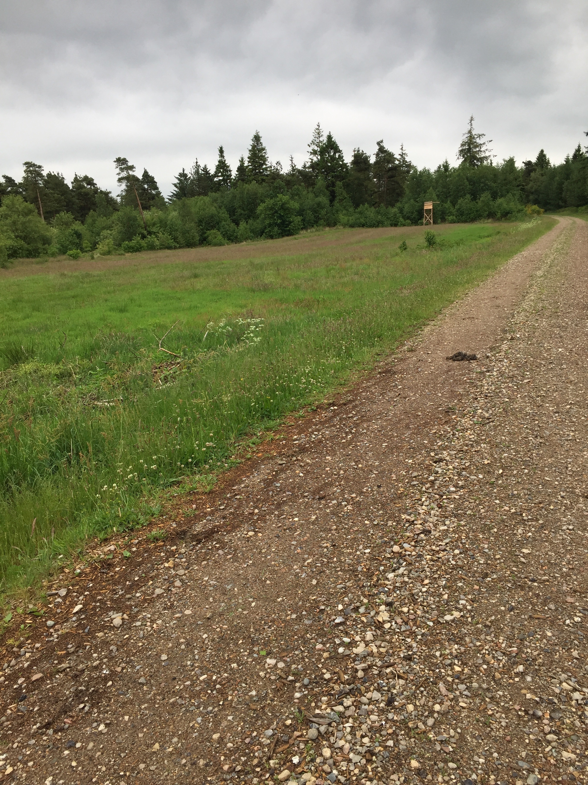 DM MTB-O Lang:  Mål, stævneplads, parkering 