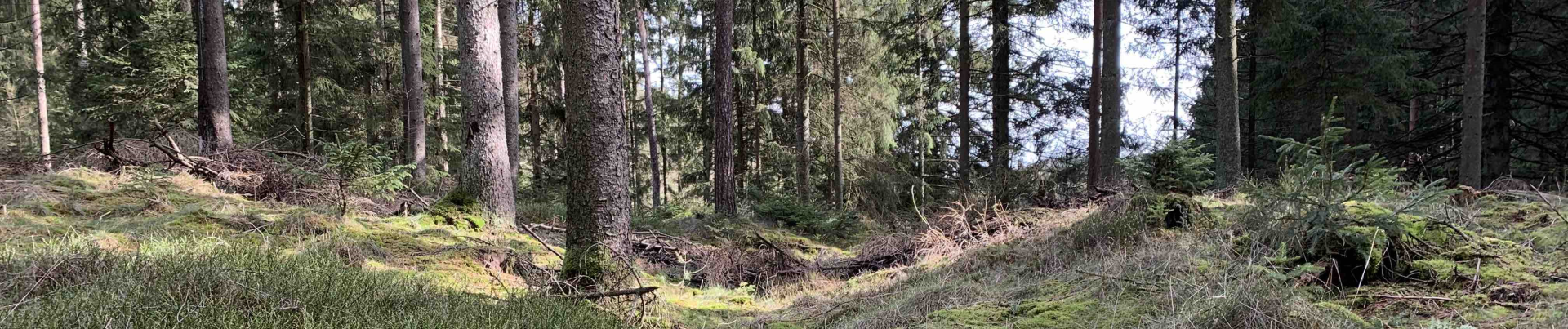 Åbent stævne – Mellemdistance - Frederikshåb Midt - lørdag den 7. september 2019 Image