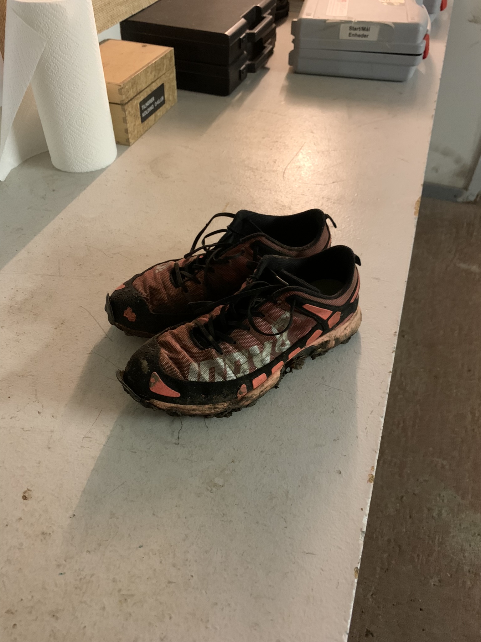 IMG 3395