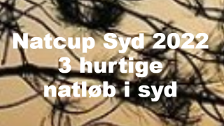 NatcupSyd-2022.png