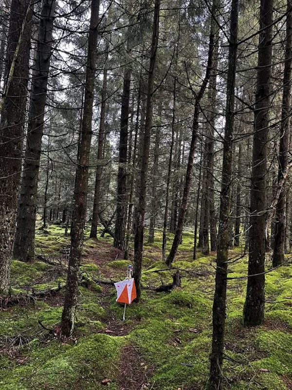 Frederikshab20251101 600