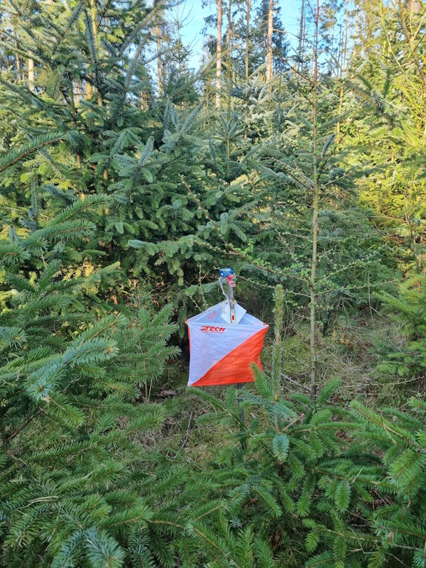 Juletraespost2025 600